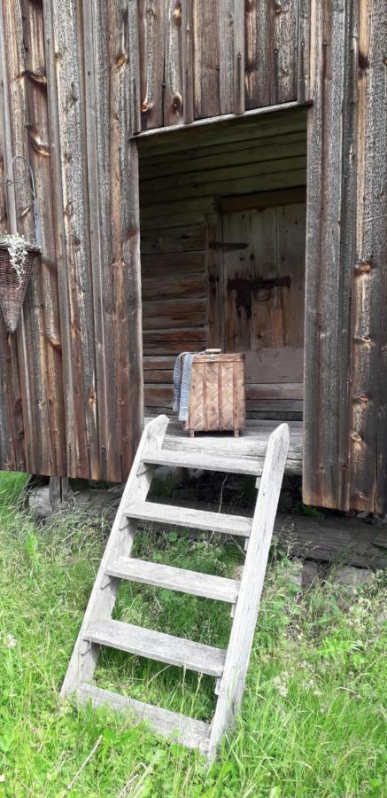 Draenggardens Stuga Pa Genuin Raettviksgard Boda  Zewnętrze zdjęcie